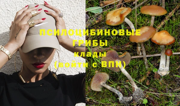 не бодяженный Новозыбков