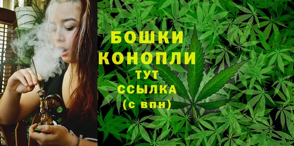 не бодяженный Новозыбков