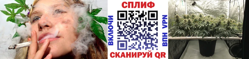 продажа наркотиков  Рославль  Каннабис конопля 