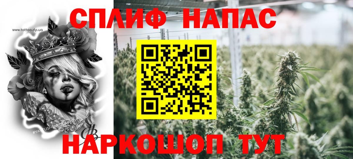 Конопля ГИДРОПОН  Каннабис конопля  МАРИХУАНА семена  Рославль  Вход с VPN 